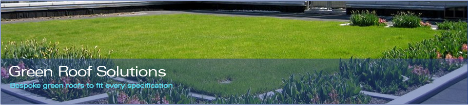 Green Roofing
